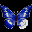 Butterfly Pixel Art APK
